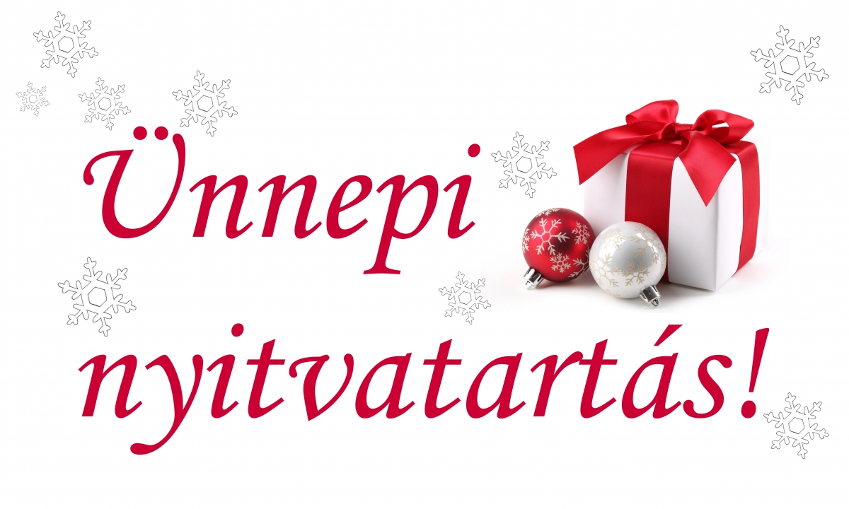 unnepi2013